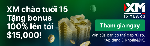 VN   PROMO  Deposit Bonus 100  480x150