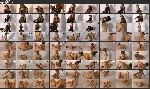 Goil toys mp4